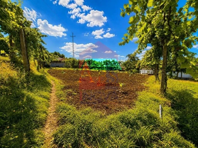 Terreno para Venda em Aboim da Nóbrega e Gondomar Foto 13