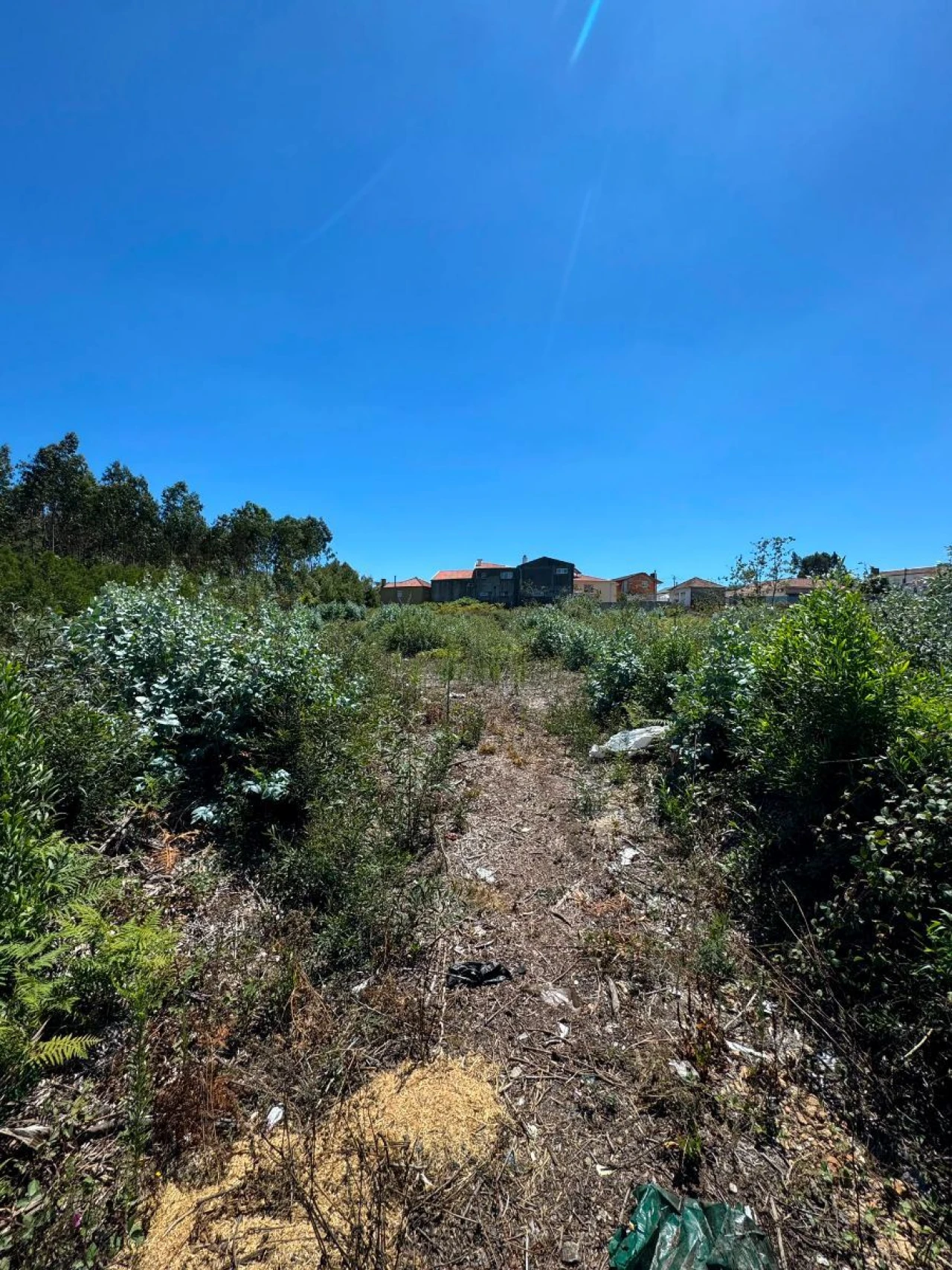 Terreno P/ Prédio para Venda em Fiães Foto 1