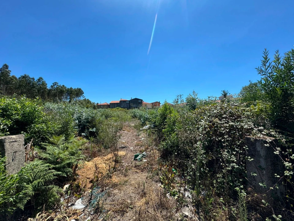 Terreno P/ Prédio para Venda em Fiães Foto 4
