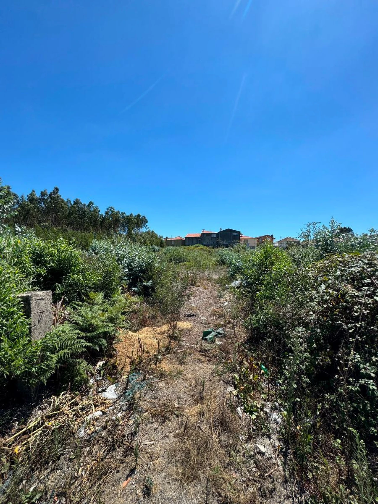 Terreno P/ Prédio para Venda em Fiães Foto 5