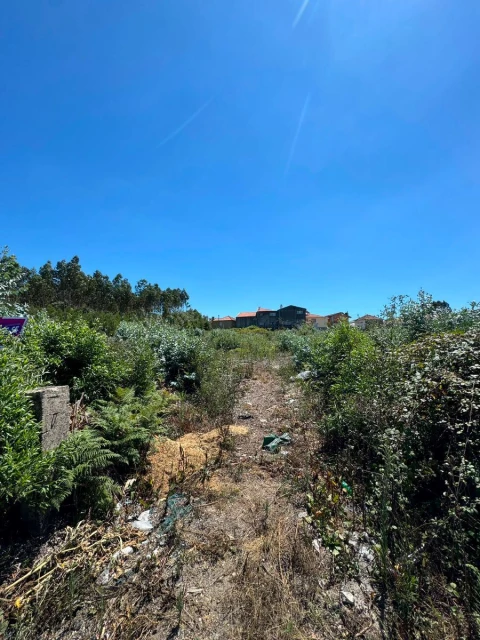 Terreno P/ Prédio para Venda em Fiães