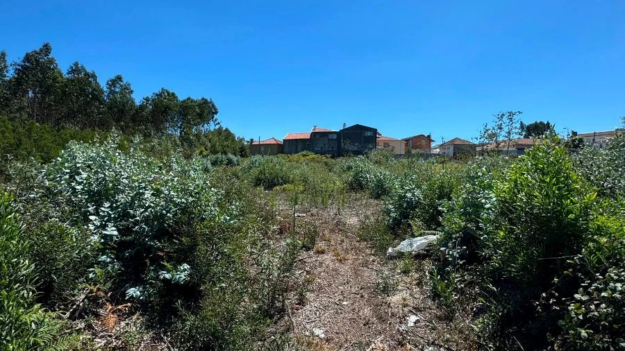 Terreno P/ Prédio para Venda em Fiães