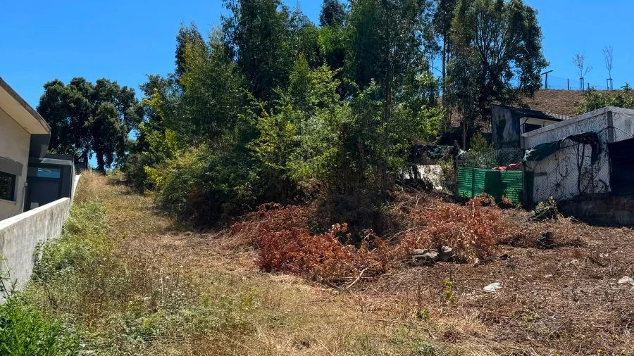 Terreno para Venda em Fiães