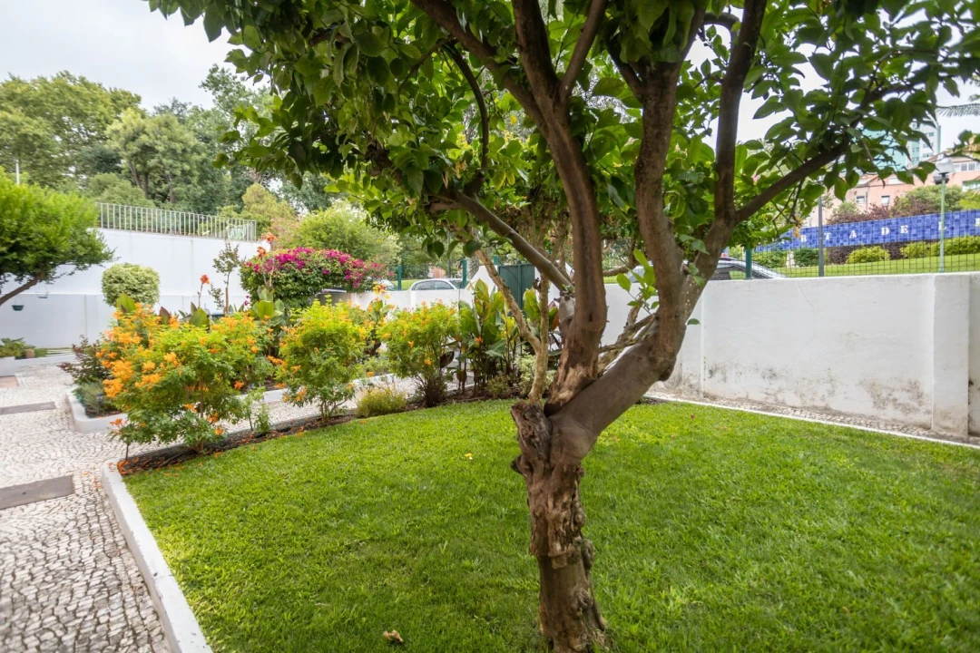 Apartamento T3 para Arrendamento em Areeiro Foto 52