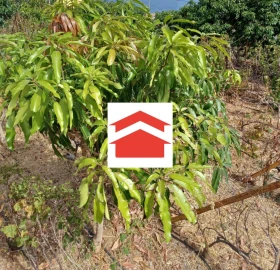 Terreno para Venda em Santa Cruz