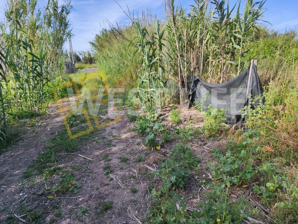 Terreno Agricola ou Rústico para Venda em Silveira Foto 1