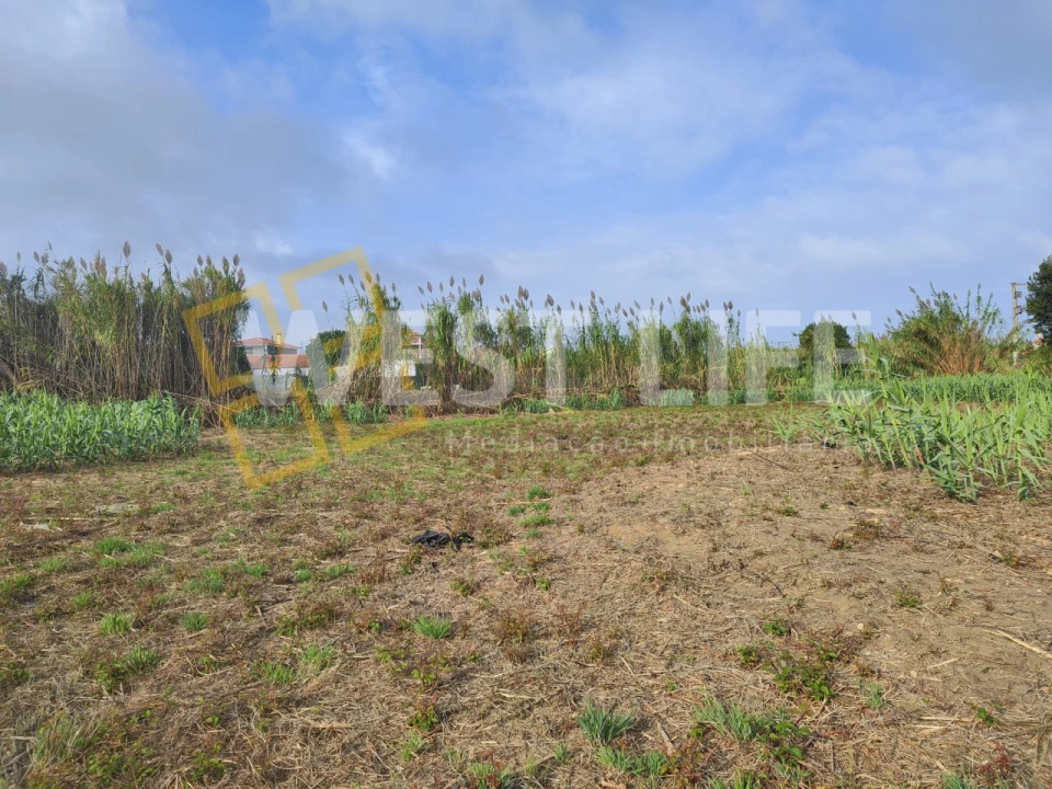 Terreno Agricola ou Rústico para Venda em Silveira Foto 1