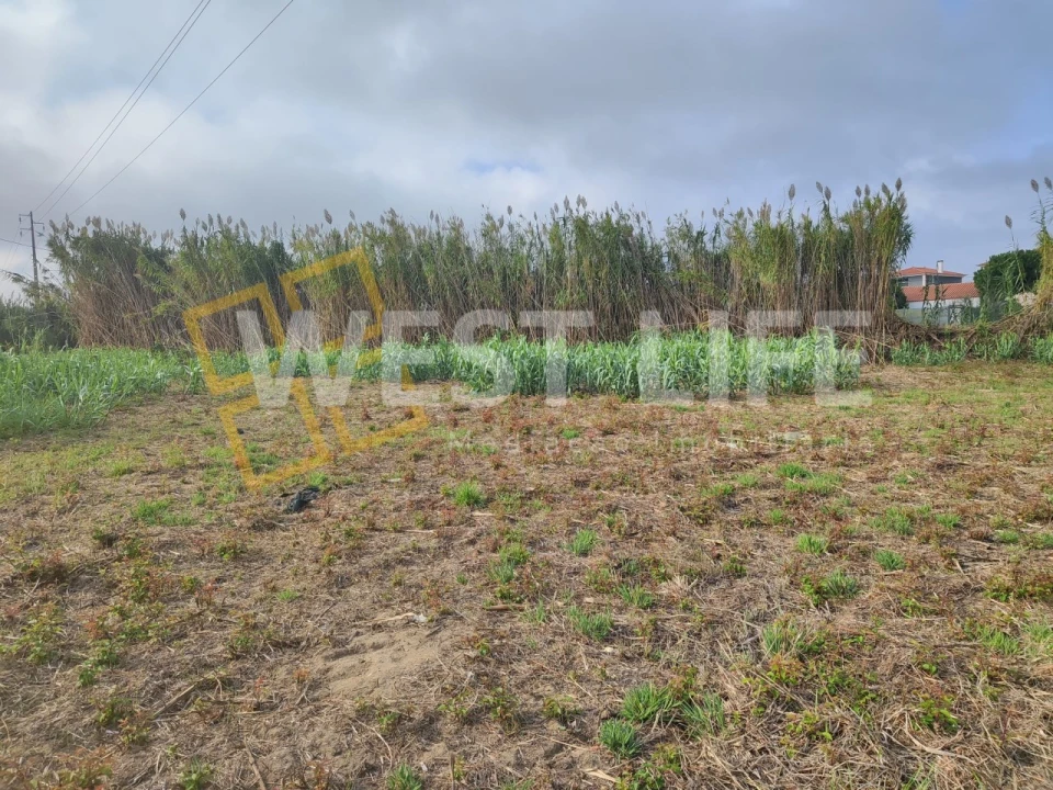 Terreno Agricola ou Rústico para Venda em Silveira Foto 2