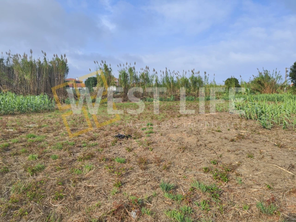 Terreno Agricola ou Rústico para Venda em Silveira Foto 3