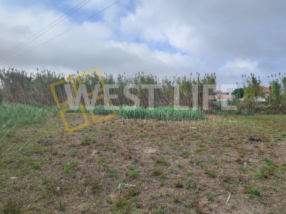 Terreno Agricola ou Rústico para Venda em Silveira Foto 5