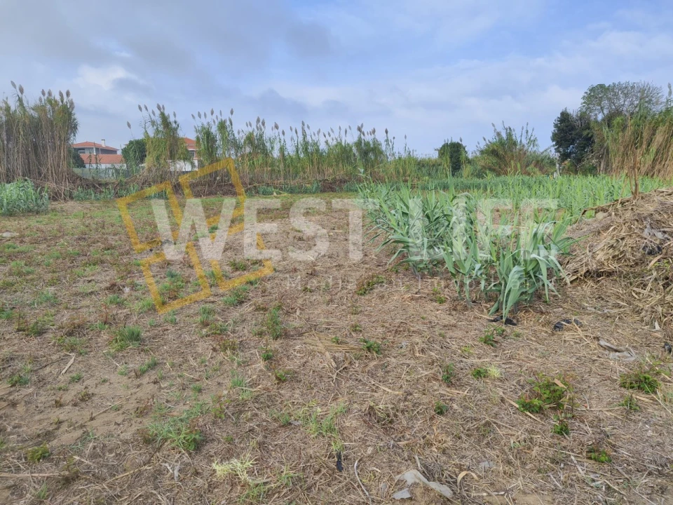 Terreno Agricola ou Rústico para Venda em Silveira Foto 6