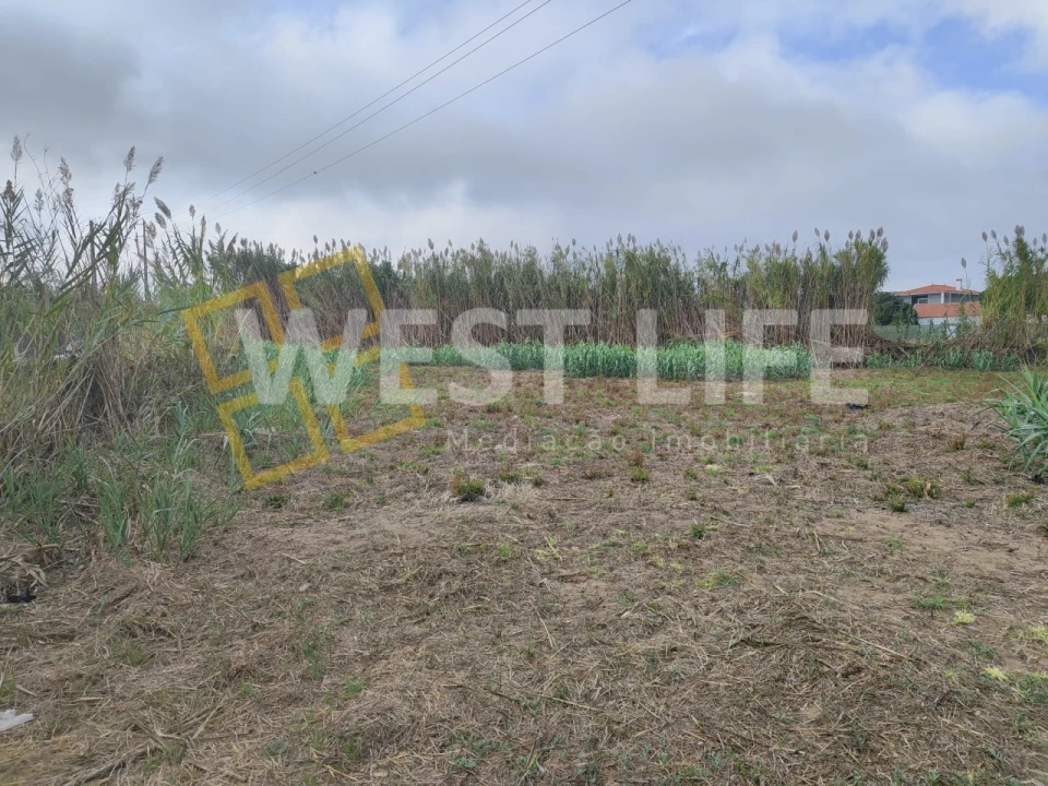 Terreno Agricola ou Rústico para Venda em Silveira Foto 11