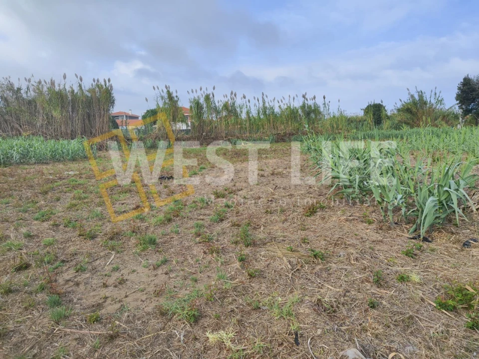 Terreno Agricola ou Rústico para Venda em Silveira Foto 12