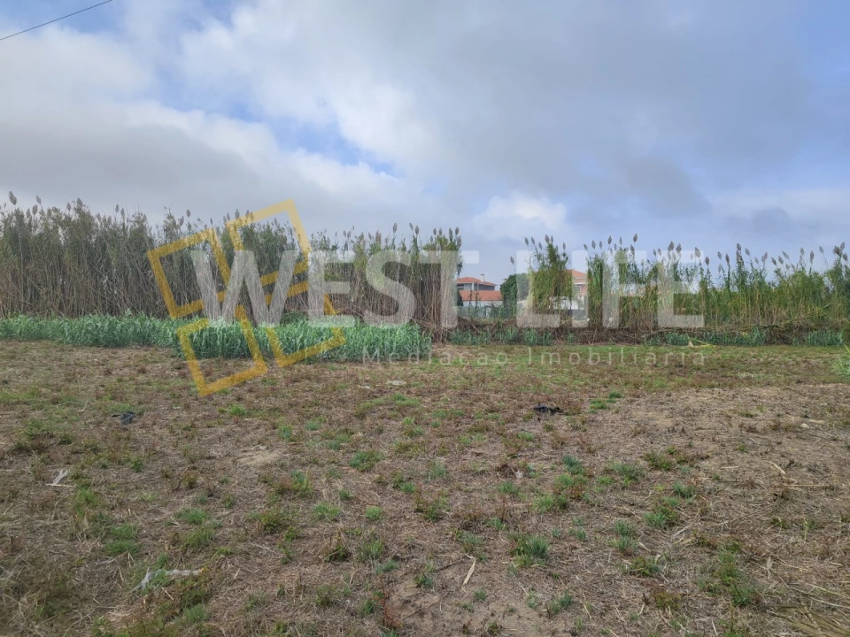 Terreno Agricola ou Rústico para Venda em Silveira Foto 16