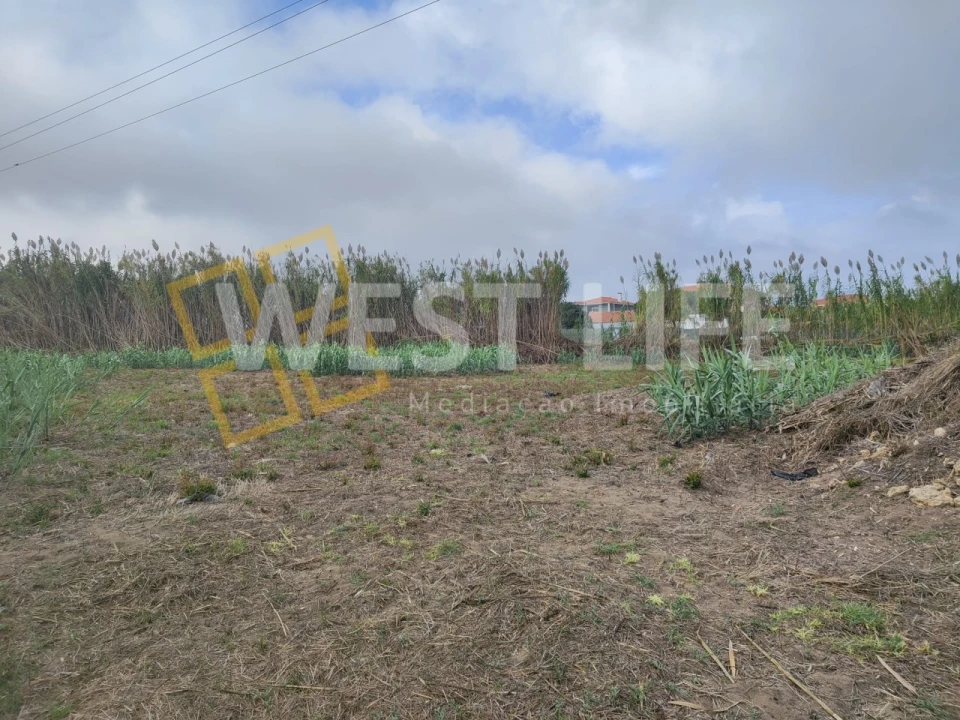 Terreno Agricola ou Rústico para Venda em Silveira Foto 19