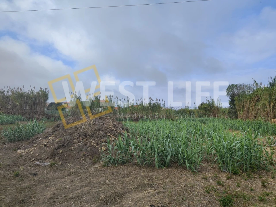 Terreno Agricola ou Rústico para Venda em Silveira Foto 20