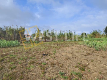 Terreno Agricola ou Rústico para Venda em Silveira