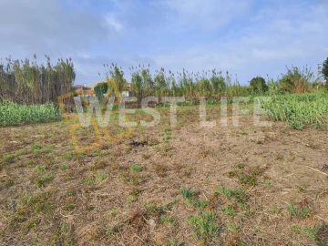 Terreno Agricola ou Rústico para Venda em Silveira
