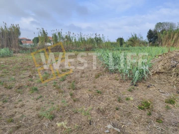 Terreno Agricola ou Rústico para Venda em Silveira