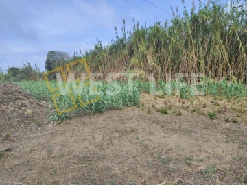Terreno Agricola ou Rústico para Venda em Silveira