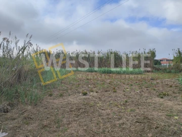 Terreno Agricola ou Rústico para Venda em Silveira