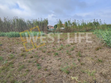 Terreno Agricola ou Rústico para Venda em Silveira