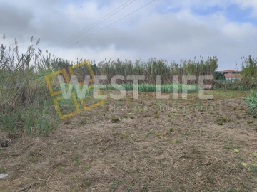 Terreno Agricola ou Rústico para Venda em Silveira