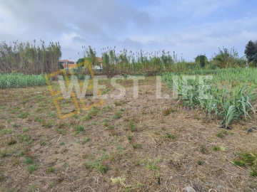 Terreno Agricola ou Rústico para Venda em Silveira