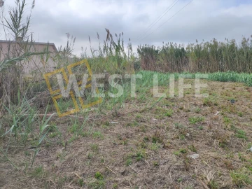 Terreno Agricola ou Rústico para Venda em Silveira