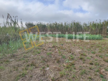 Terreno Agricola ou Rústico para Venda em Silveira