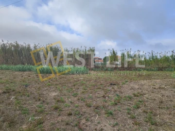 Terreno Agricola ou Rústico para Venda em Silveira