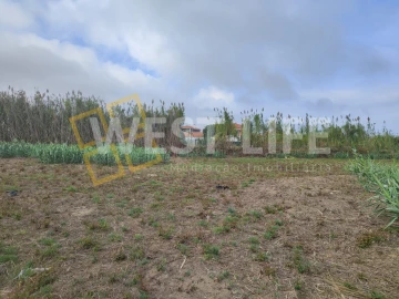 Terreno Agricola ou Rústico para Venda em Silveira