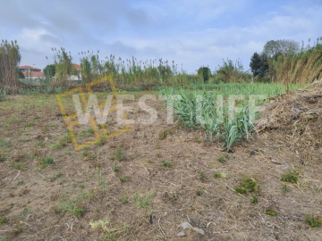 Terreno Agricola ou Rústico para Venda em Silveira