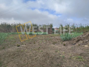 Terreno Agricola ou Rústico para Venda em Silveira