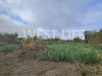 Terreno Agricola ou Rústico para Venda em Silveira