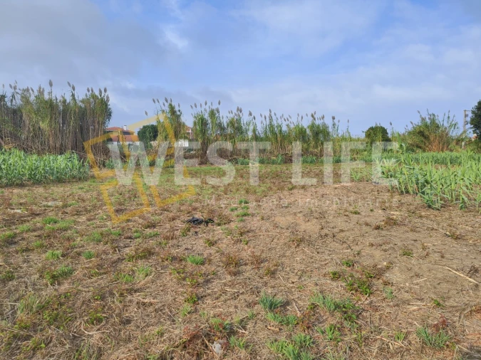 Terreno Agricola ou Rústico para Venda em Silveira Foto 3