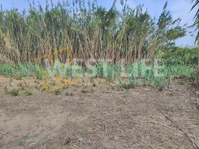Terreno Agricola ou Rústico para Venda em Silveira Foto 8