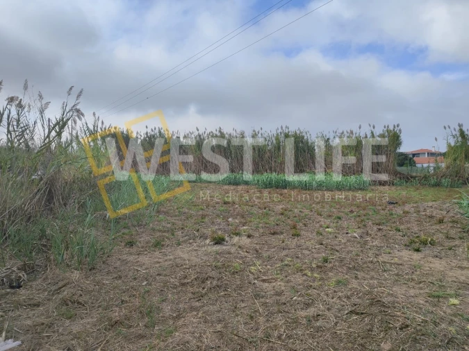 Terreno Agricola ou Rústico para Venda em Silveira Foto 9