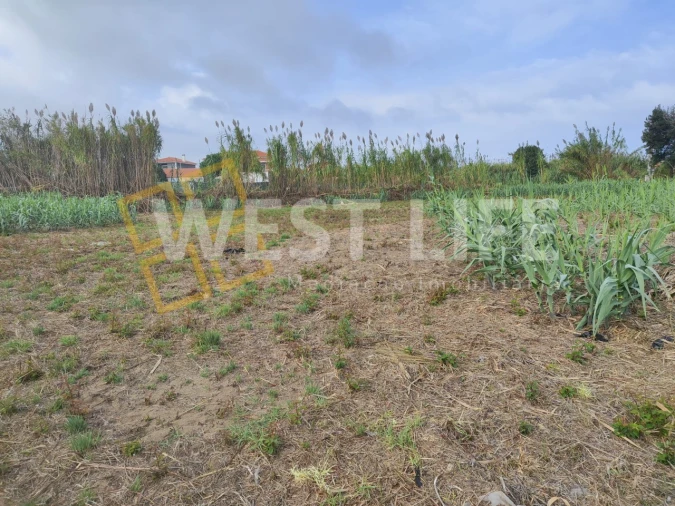 Terreno Agricola ou Rústico para Venda em Silveira Foto 12