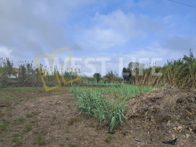 Terreno Agricola ou Rústico para Venda em Silveira Foto 15