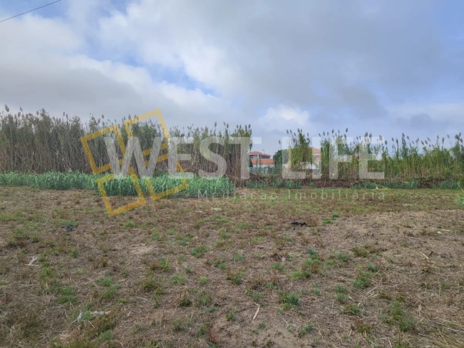 Terreno Agricola ou Rústico para Venda em Silveira Foto 16