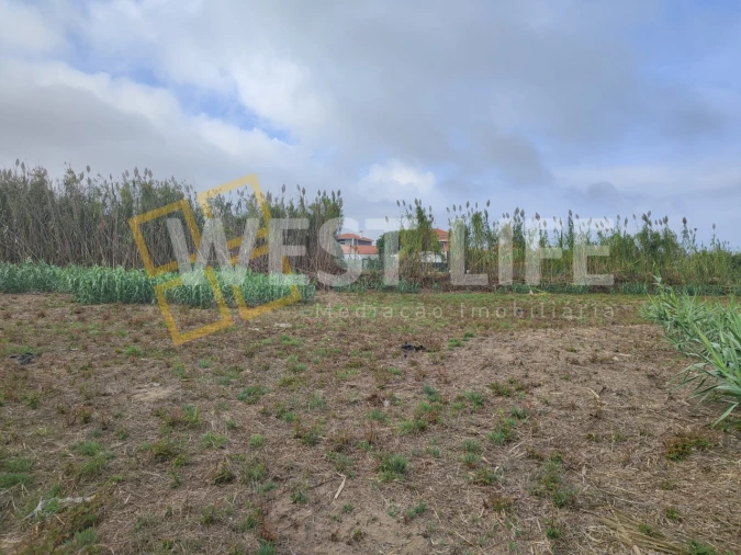 Terreno Agricola ou Rústico para Venda em Silveira Foto 17