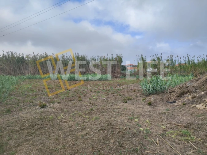 Terreno Agricola ou Rústico para Venda em Silveira Foto 19