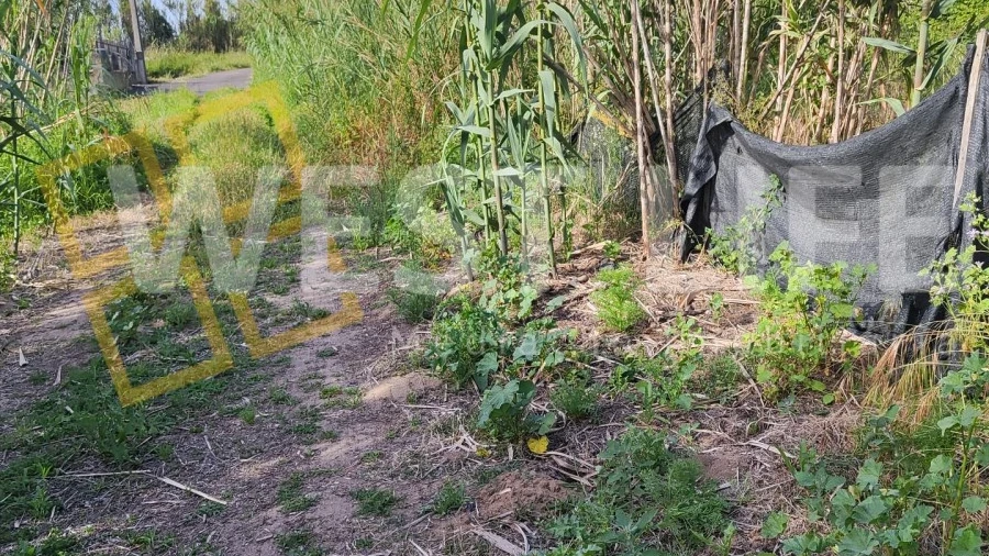 Terreno Agricola ou Rústico para Venda em Silveira