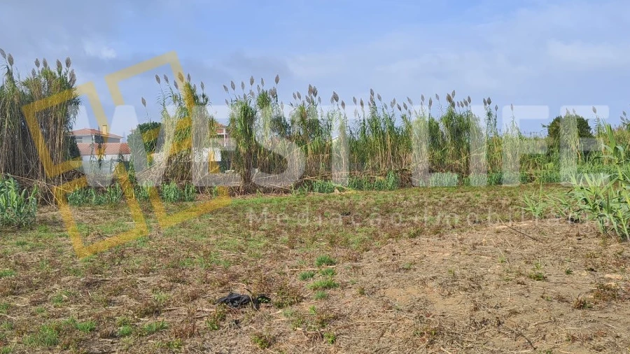 Terreno Agricola ou Rústico para Venda em Silveira