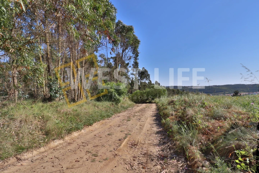 Terreno Agricola ou Rústico para Venda em Santo Isidoro Foto 3