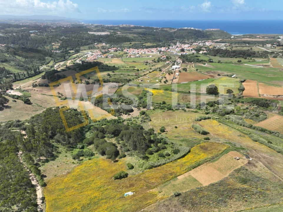 Terreno Agricola ou Rústico para Venda em Santo Isidoro Foto 2