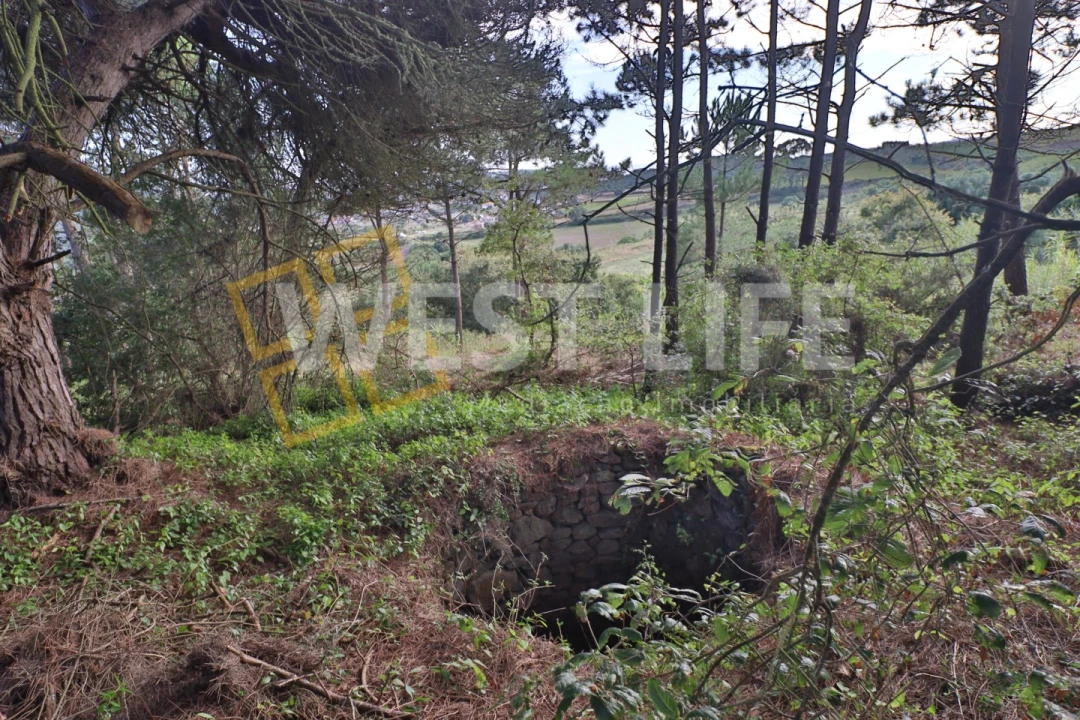Terreno Agricola ou Rústico para Venda em Santo Isidoro Foto 16