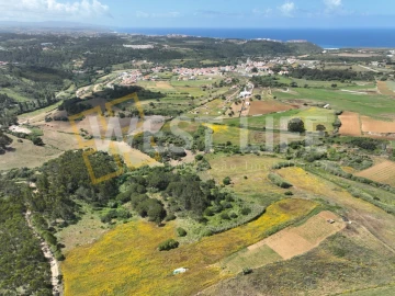 Terreno Agricola ou Rústico para Venda em Santo Isidoro
