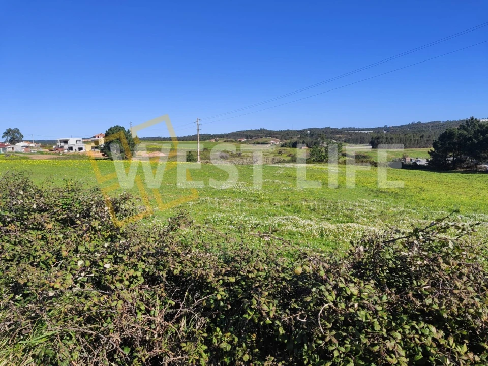 Terreno Agricola ou Rústico para Venda em Silveira Foto 5